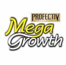 mega growth